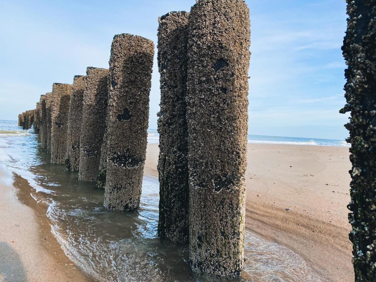Vakantiehuis Domburg Do33 Экстерьер фото